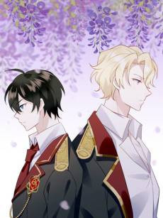 Evenly Matched Love