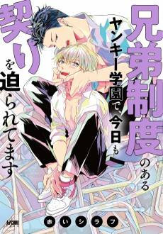 Kyoudai Seido no Aru Yankee Gakuen de, Kyou mo Chigiri wo Semaretemasu