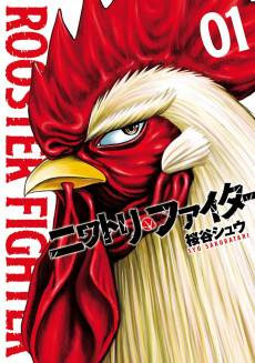 Rooster Fighter