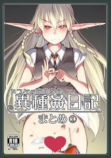 Dosukebe Elf no Ishukan Nikki