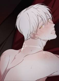 Confessions of the Night