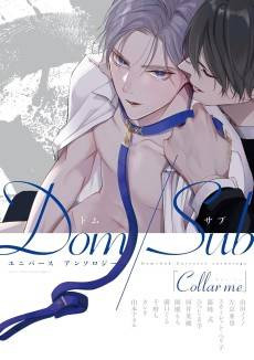 Collar me Dom/Sub Universe Anthology