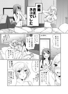 Neko to Neko no Owaranai Yoru
