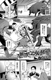 The Iron Maiden's Secret