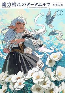 The Journey of a Dark Elf with Fading Powers